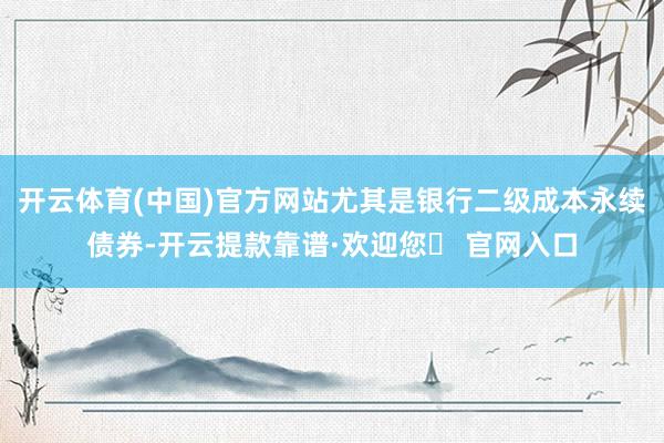 开云体育(中国)官方网站尤其是银行二级成本永续债券-开云提款靠谱·欢迎您✅ 官网入口